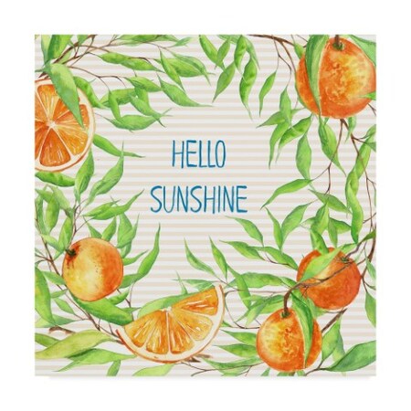 Trademark Fine Art Irina Trzaskos Studio 'Hello Sunshine' Canvas Art, 14x14 ALI21043-C1414GG